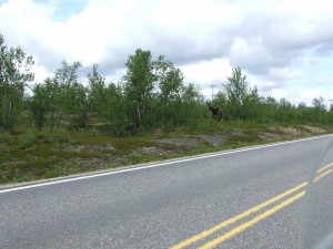 Route 66 2015 (249)