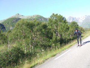Route 66 2015 (364)