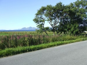 Route 66 2015 (375)