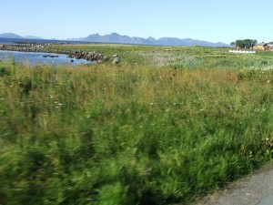 Route 66 2015 (381)