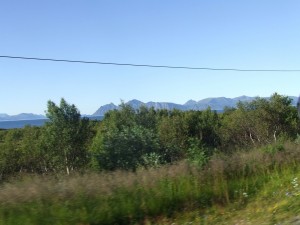 Route 66 2015 (386)