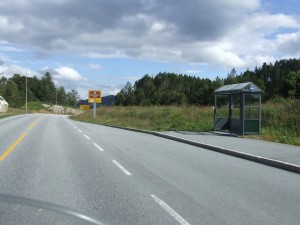 Route 66 2015 (538)