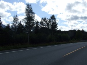 Route 66 2015 (541)