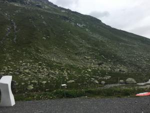 IMG 0409