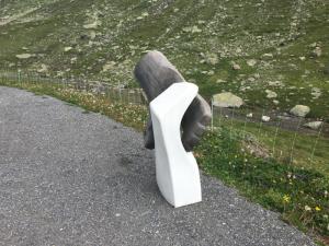 IMG 0413