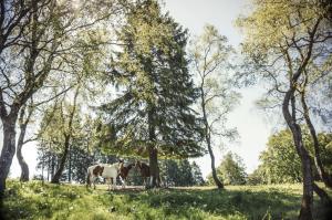 Sauerland mei 2017 (53)