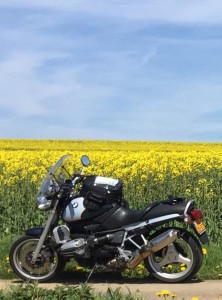 Route 66 2016 (403)