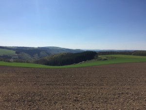 Route 66 2016 (404)